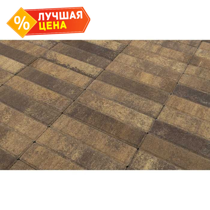Плитка тротуарная BRAER Паркет Color Mix Каштан, 200x50x60 мм